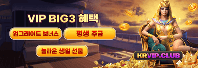 VIP 매일 캐시백 및 리베이트 promotion