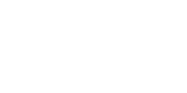 다이아몬드 넷 logo