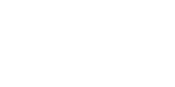 에이스 게이밍 logo